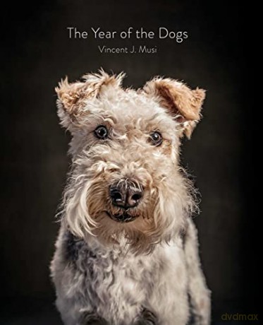 Year Of The Dogs - Vincent J Musi [KSIĄŻKA]