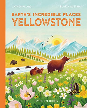 Yellowstone - Catherine Ard [KSIĄŻKA]