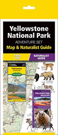Yellowstone National Park Adventure S [KSIĄŻKA]