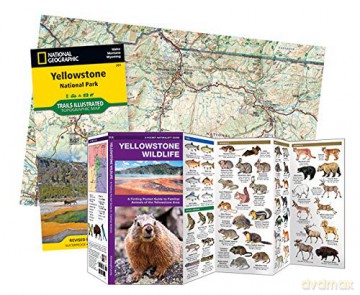 Yellowstone National Park Adventure S [KSIĄŻKA]