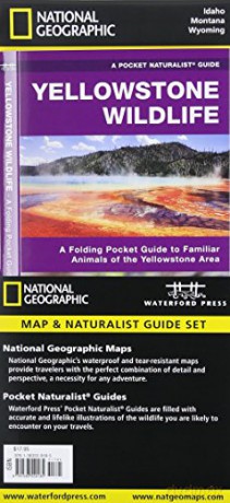 Yellowstone National Park Adventure S [KSIĄŻKA]