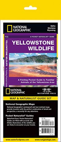 Yellowstone National Park Adventure S [KSIĄŻKA]