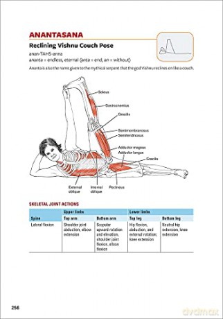 Yoga Anatomy - Leslie Kaminoff [KSIĄŻKA]