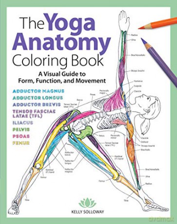 Yoga Anatomy Coloring Book - Kelly Solloway [KSIĄŻKA]