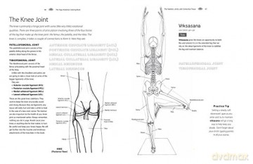 Yoga Anatomy Coloring Book - Kelly Solloway [KSIĄŻKA]
