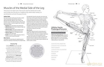 Yoga Anatomy Coloring Book - Kelly Solloway [KSIĄŻKA]