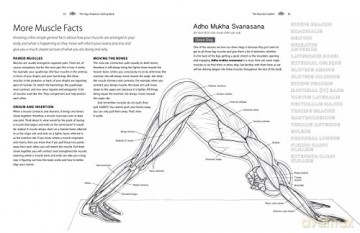 Yoga Anatomy Coloring Book - Kelly Solloway [KSIĄŻKA]