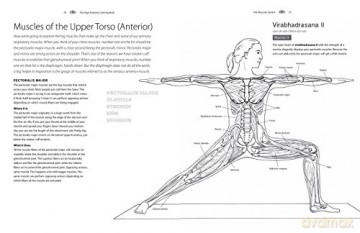 Yoga Anatomy Coloring Book - Kelly Solloway [KSIĄŻKA]