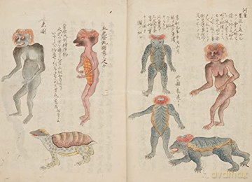 Yokai - Koichi Yumoto [KSIĄŻKA]
