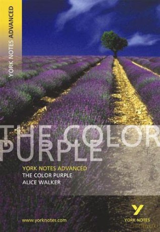 York Notes Colour Purple - Alice Walker [KSIĄŻKA]