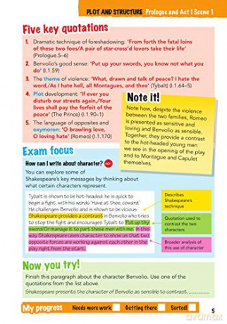York Notes For Aqa Gcse 91 Rapid Revisio - Jo Heathcote [KSIĄŻKA]