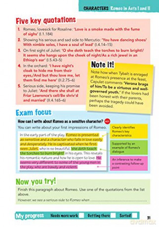 York Notes For Aqa Gcse 91 Rapid Revisio - Jo Heathcote [KSIĄŻKA]