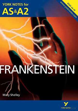 York Notes Frankenstein [KSIĄŻKA]