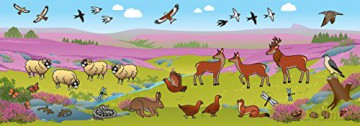 Yorkshire Sticker Book [KSIĄŻKA]