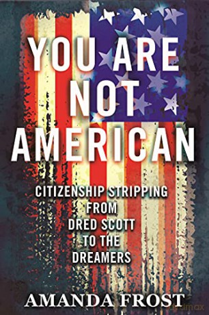 You Are Not American - Amanda Frost [KSIĄŻKA]