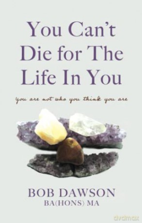 You Cant Die For The Life In You - Bob Dawson [KSIĄŻKA]