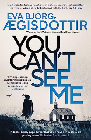 You Cant See Me - Eva B Aegisdottir [KSIĄŻKA]
