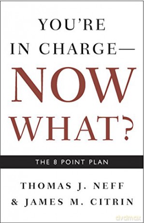 You Re In Charge Now What - Neff Thomas J. [KSIĄŻKA]
