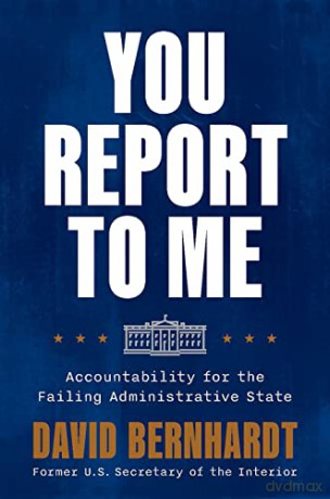 You Report To Me [KSIĄŻKA]