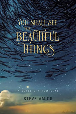 You Shall See The Beautiful Things - Steve Amick [KSIĄŻKA]