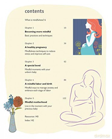 Your Mindful Pregnancy - Sarah Rudell Beach [KSIĄŻKA]