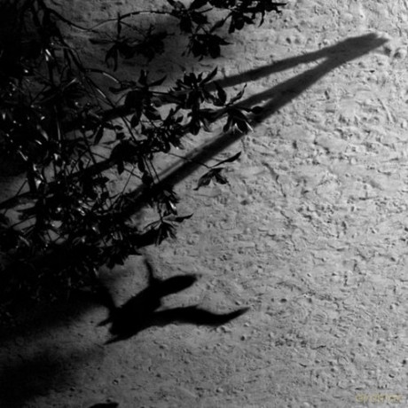 Max Richter: Blue Notebooks [CD]