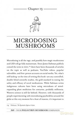 Your Psilocybin Mushroom Companion - Michelle Janikian [KSIĄŻKA]