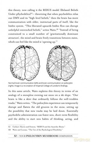 Your Psilocybin Mushroom Companion - Michelle Janikian [KSIĄŻKA]
