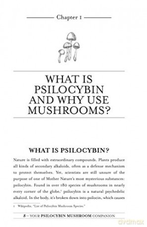 Your Psilocybin Mushroom Companion - Michelle Janikian [KSIĄŻKA]