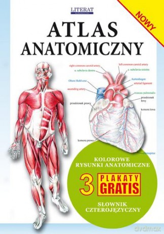 Atlas Anatomiczny [KSIĄŻKA]