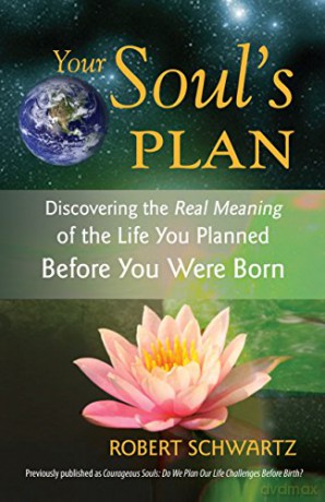 Your Souls Plan - Robert Schwartz [KSIĄŻKA]