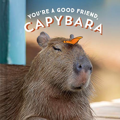 Youre A Good Friend Capybara [KSIĄŻKA]