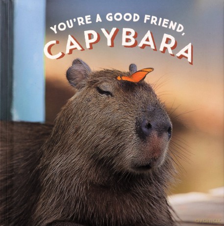 Youre A Good Friend Capybara [KSIĄŻKA]