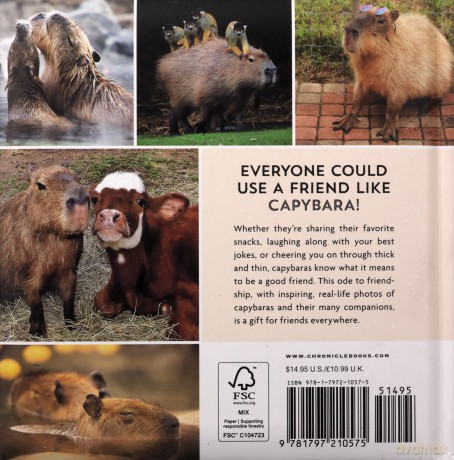 Youre A Good Friend Capybara [KSIĄŻKA]