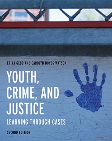 Youth Crime And Justice - Erika Gebo [KSIĄŻKA]