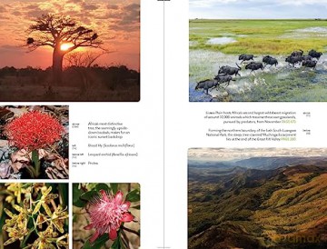 Zambia Safari Guide - Chris Mcintyre [KSIĄŻKA]