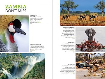 Zambia Safari Guide - Chris Mcintyre [KSIĄŻKA]