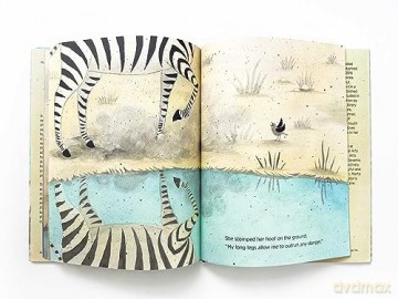 Zebra In The Mirror - Tina Arnus Pupis [KSIĄŻKA]
