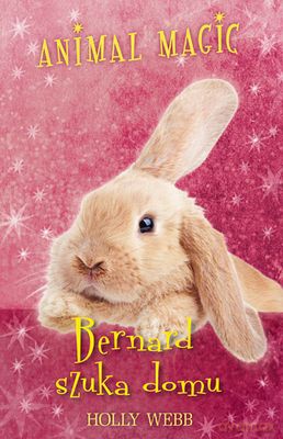 Bernard Szuka Domu Animal Magic - Holly Webb [KSIĄŻKA]