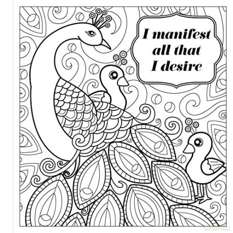 Zendoodle Baby Animal Affirmatio - Jeanette Wummel [KSIĄŻKA]