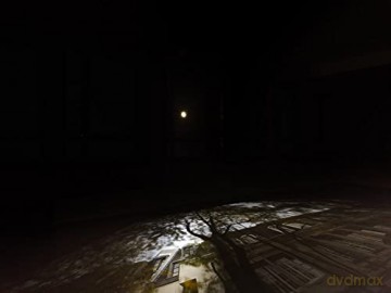 Zoe Leonard Available Light - Zoe Leonard [KSIĄŻKA]
