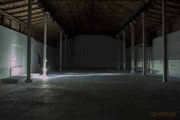 Zoe Leonard Available Light - Zoe Leonard [KSIĄŻKA]