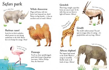 Zoo Animals To Spot - Kate Nolan [KSIĄŻKA]