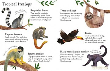 Zoo Animals To Spot - Kate Nolan [KSIĄŻKA]