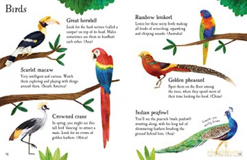 Zoo Animals To Spot - Kate Nolan [KSIĄŻKA]
