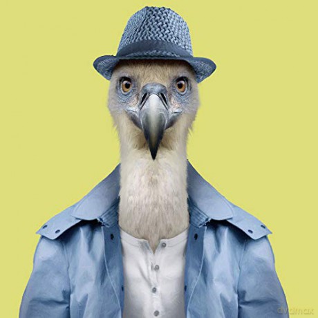 Zoo Portraits - Yago Partal [KSIĄŻKA]