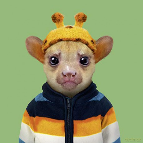 Zoo Portraits - Yago Partal [KSIĄŻKA]