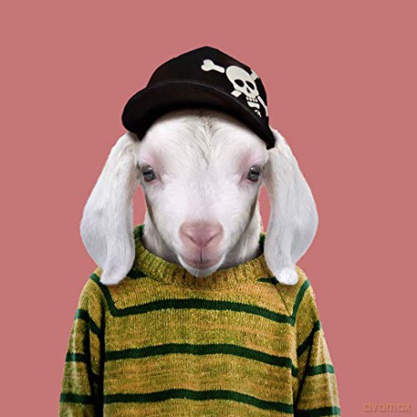 Zoo Portraits - Yago Partal [KSIĄŻKA]