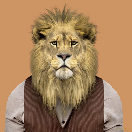 Zoo Portraits - Yago Partal [KSIĄŻKA]