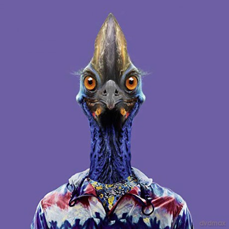 Zoo Portraits - Yago Partal [KSIĄŻKA]